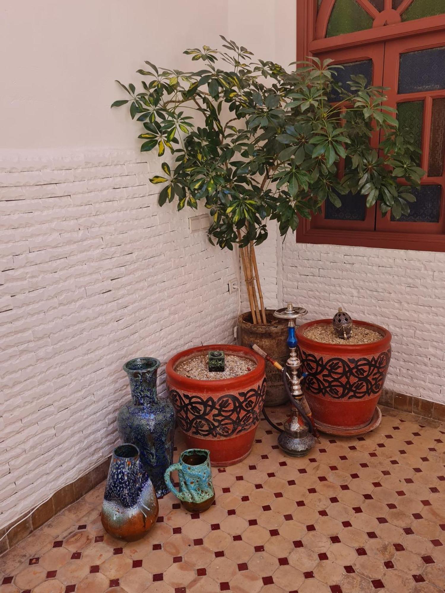 מרקש Riad Dantella מראה חיצוני תמונה